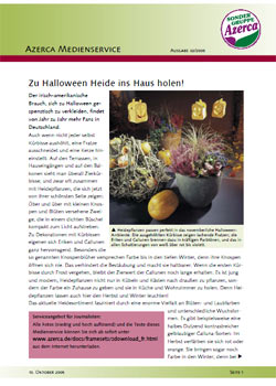 Zu Halloween Heide ins Haus holen (02/2005)