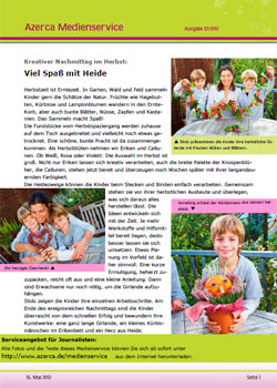 Kreativer Nachmittag im Herbst: Viel Spaß mit Heide (02/2012)