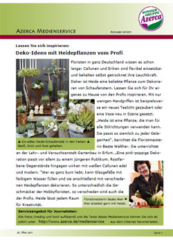 Deko-Ideen mit Heidepflanzen vom Profi (03/2011)