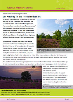 Rosaroter Stimmungsmacher – Ein Ausflug in die Heidelandschaft (03/2014)