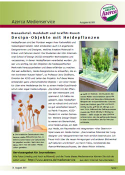 Design-Objekte mit Heidepflanzen (06/2011)