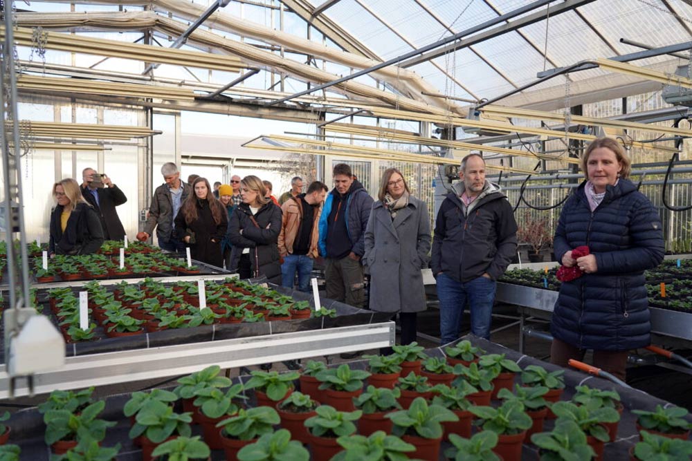 Dr. Luise Radermacher erläutert die aktuellen Versuche zur Energieeinsparung in der Zierpflanzenproduktion in den Gewächshäusern des Lehr- und Versuchszentrums Gartenbau im TLLLR.
